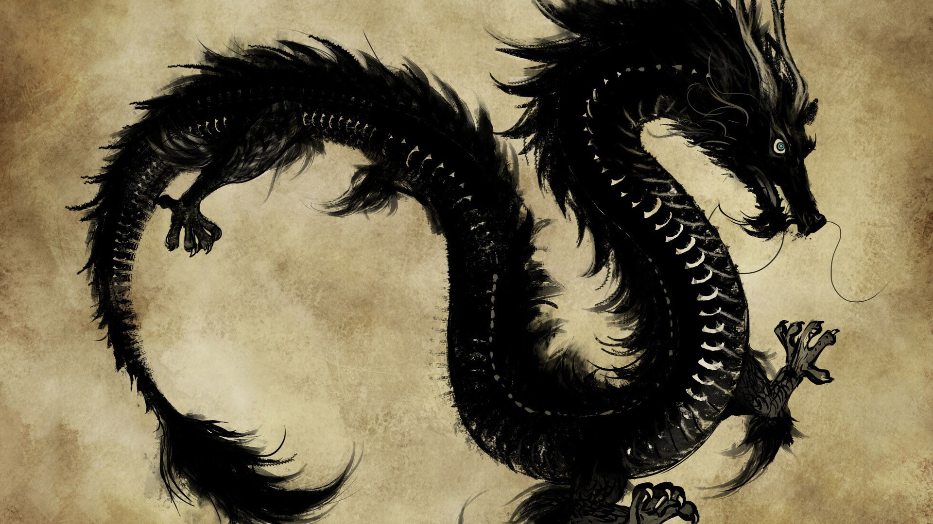3711996-3d-chinese-dragon-wallpapers